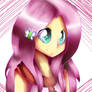 Fluttershy - MLP