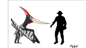 Pteranodon longiceps