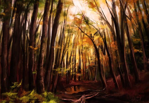 Forest Study