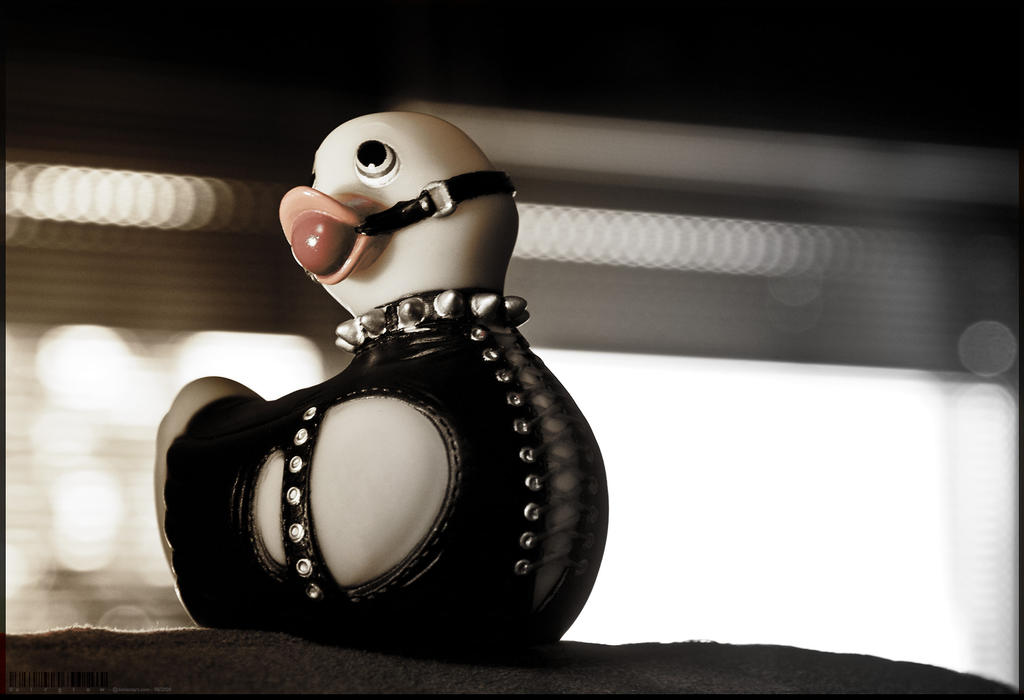 bondage duck by airglow