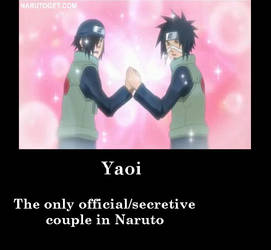 Huh, So There IS Yaoi