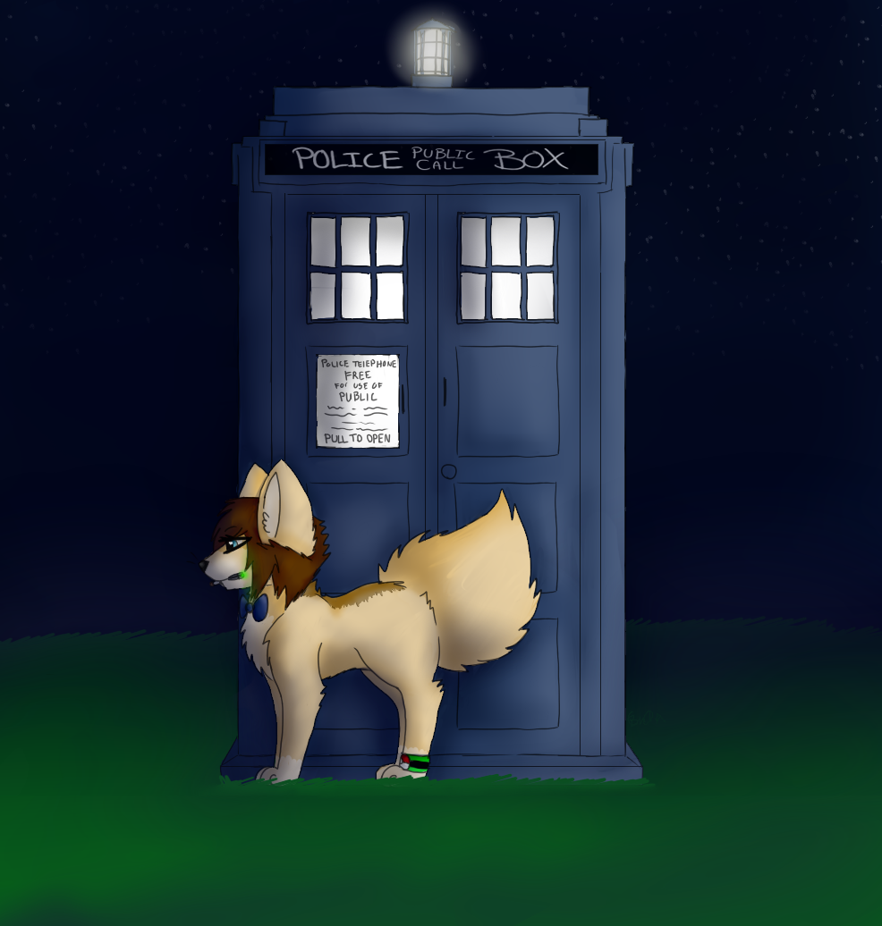 Rinny and the tardis