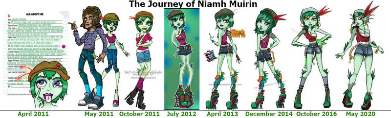 The Journey Of Niamh