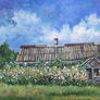 An old house overgrown with flowers