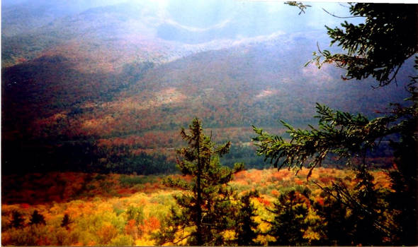 Fall in New Hampshire