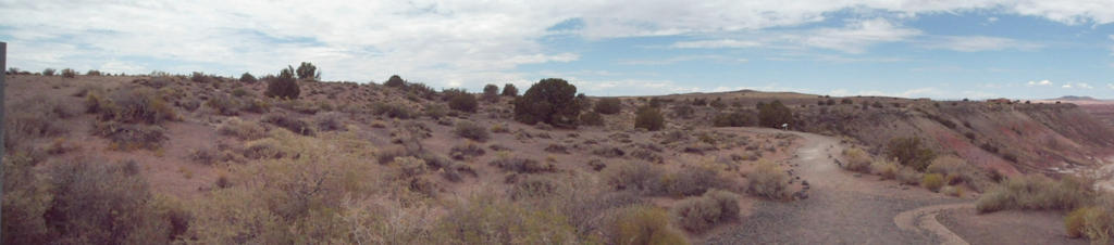 Painted Desert Panoramic