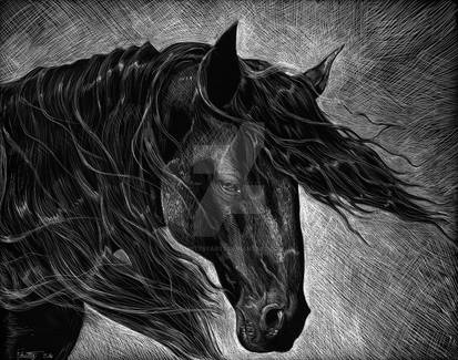 Scratchboard of a Horse in the Wind