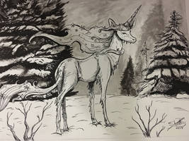 Winter unicorn 