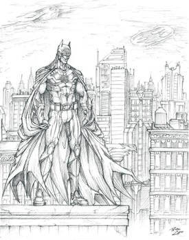 BCC 2013 Batman
