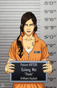 Mei Gulong (Earth-27) commission