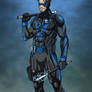 The Nightwing (Dick Grayson)