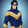 Nightwing (90s)