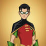 Robin (The Batman 2004)