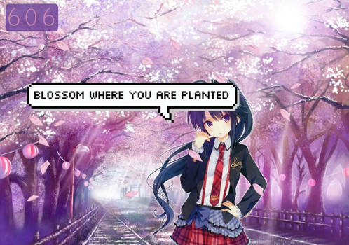 Blossom where you are Planted