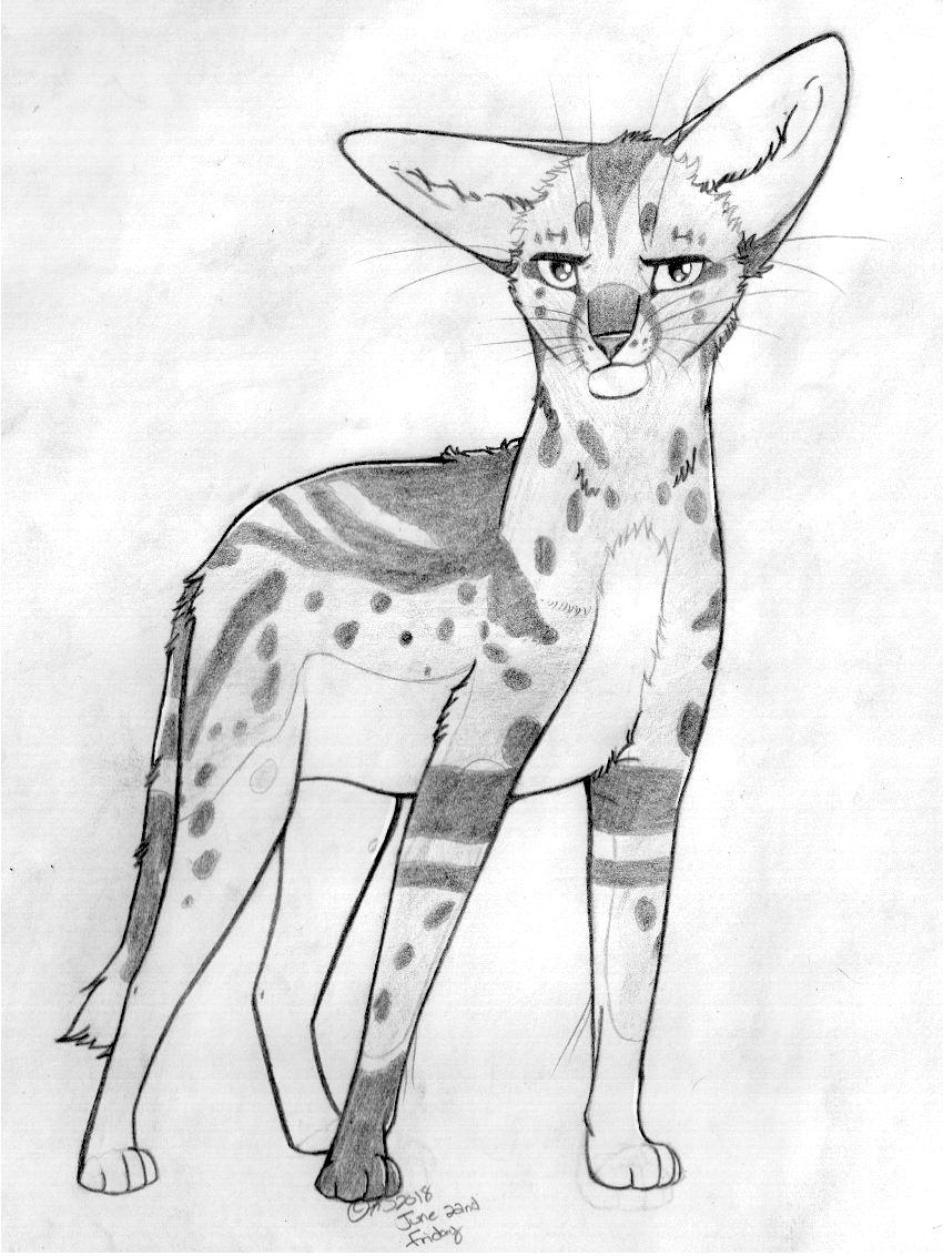 Serval Grey-Scale by FeatheredSeclude on DeviantArt