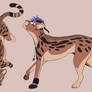 Elijah Concepts
