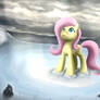 Fluttershy's journey