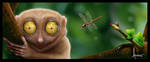 Tarsier by Skillowsky