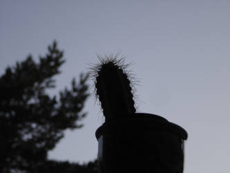 Spiky thingy