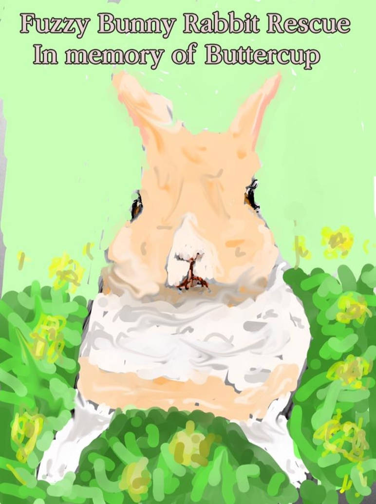 Fuzzy Bunny Rabbit Rescue by ElisabethCampbellWri on DeviantArt