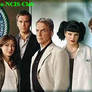 The-NCIS-Club ID