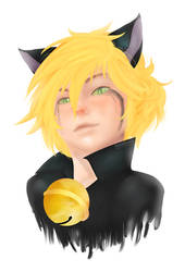 Chat Noir