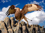 Majestic Griffin by CraigJohn