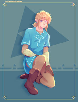 Botw link