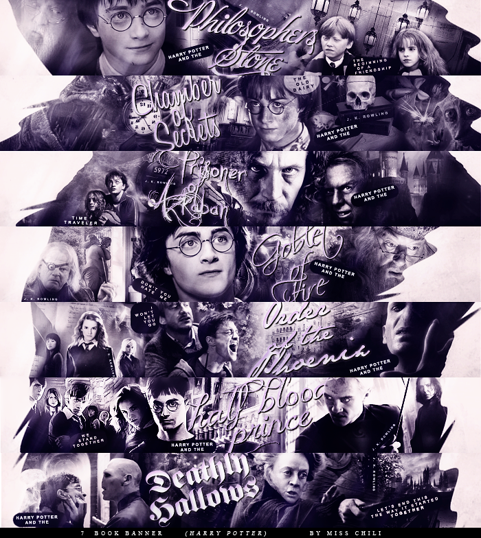 Harry Potter books banner