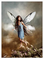 Flight Of The Fairy