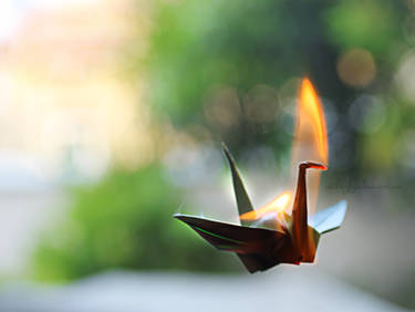 Crane Flame