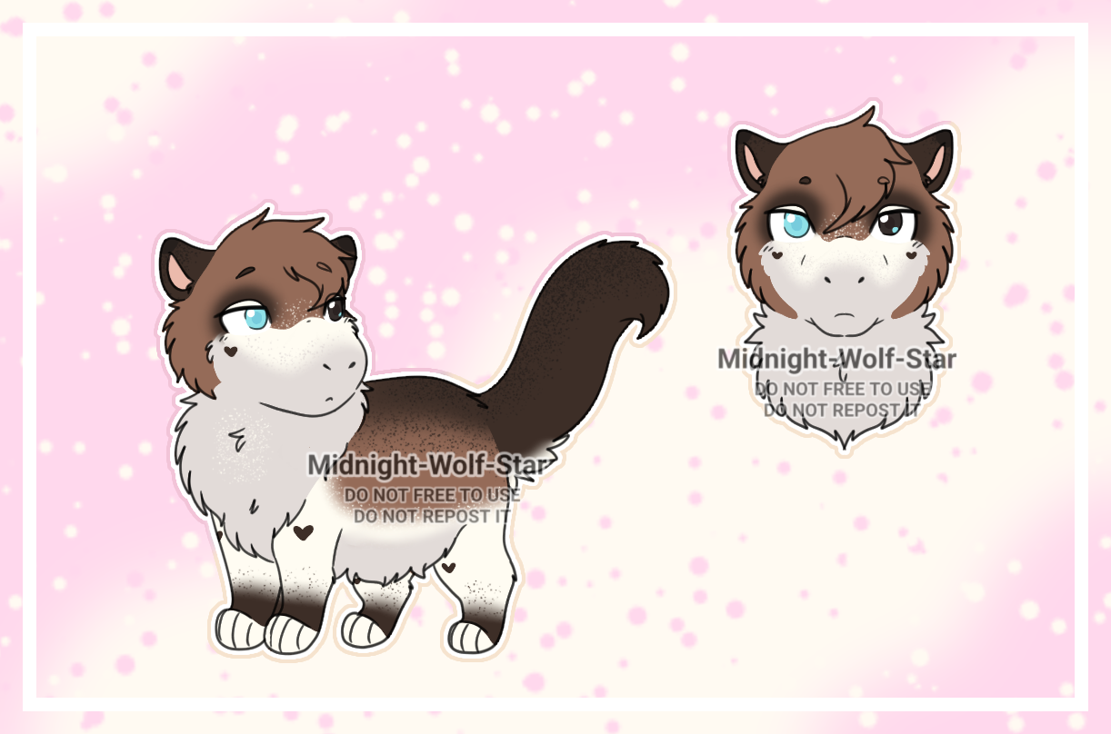 Offer to Adopt 7 - OPEN