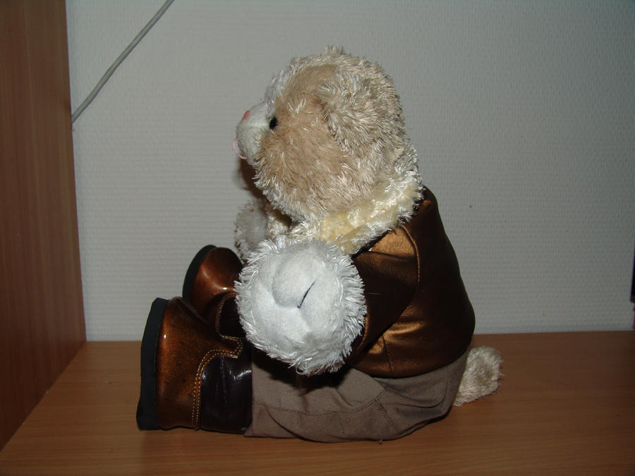 BuildABear Cat Clothes 2 by ToyGer on DeviantArt