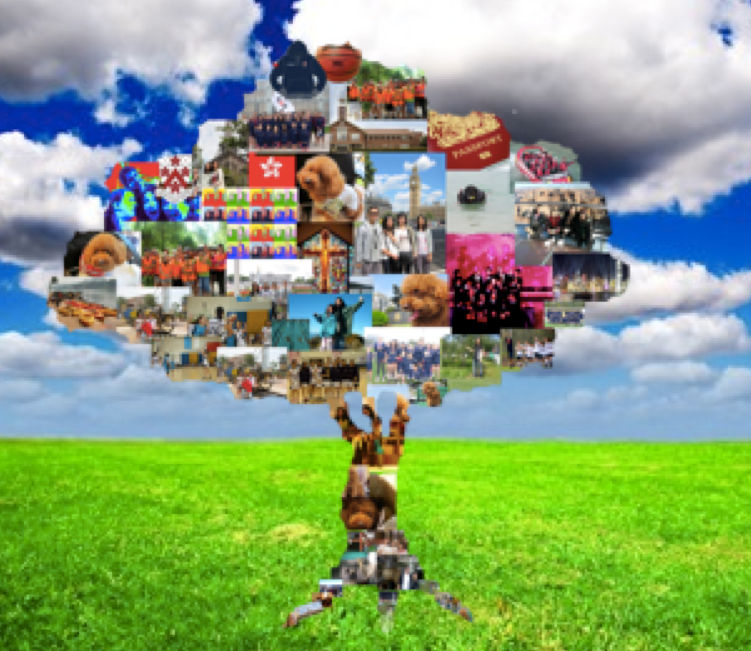 Identity tree by theresayip on DeviantArt