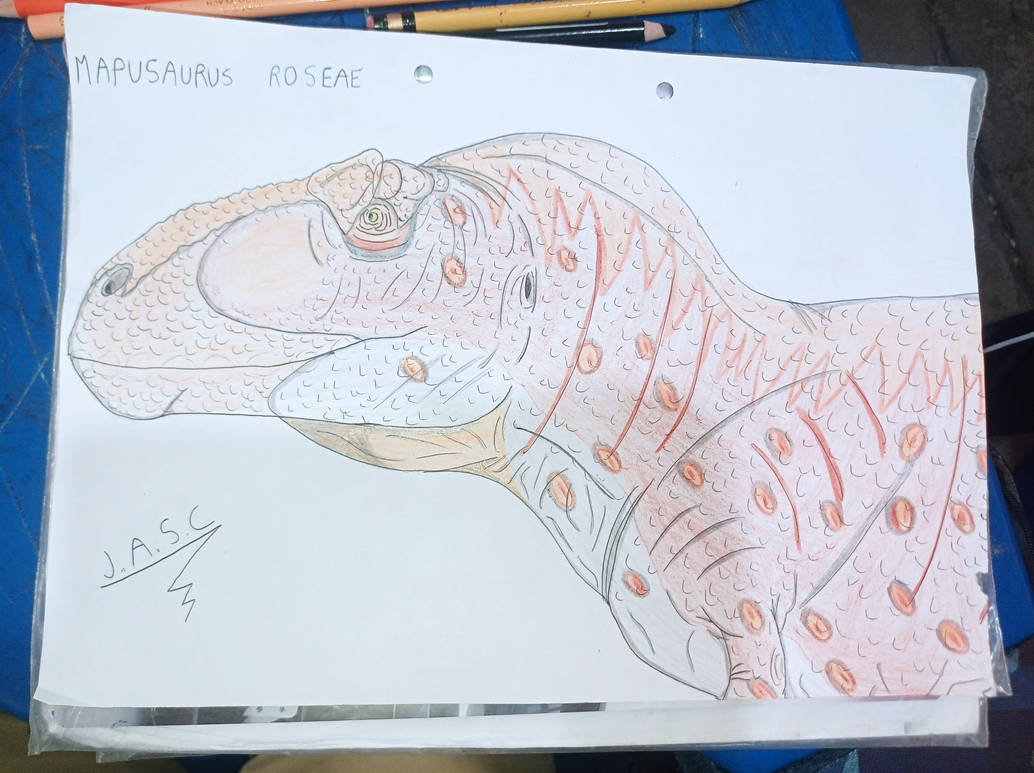 Mapusaurus roseae by Spinosaurusfino on DeviantArt