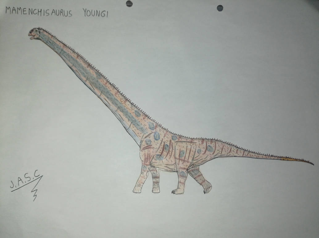Mamenchisaurus youngi by Spinosaurusfino on DeviantArt