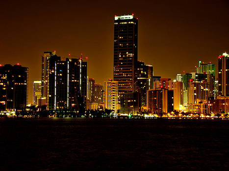 Miami Beach At Night