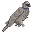 Dove Icon- :FREE: