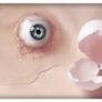 Egg's eye