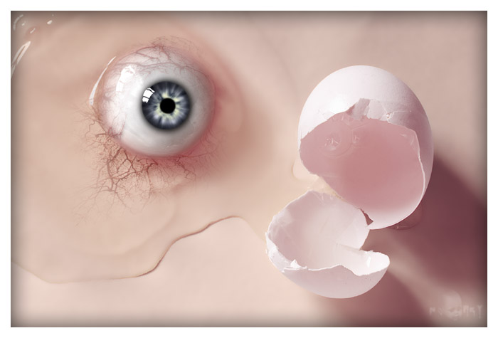 Egg's eye
