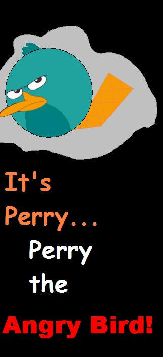 Angry Perry Perry the Angry Bird by pjcb12 on DeviantArt