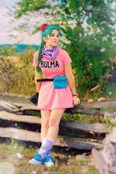 Bulma Classic