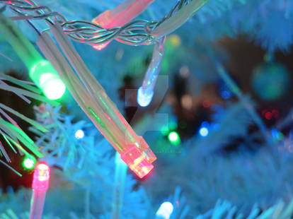 Christmas Photography 6