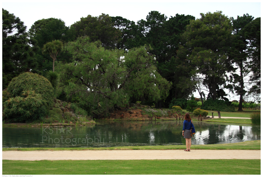 Lakeside Viewing