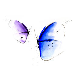 Butterflies