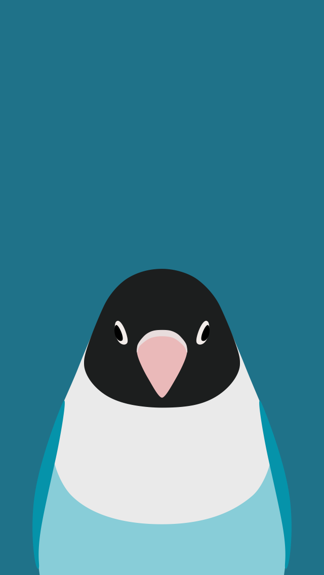 lovebird bird wallpaper for iphone by
