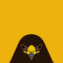Harris's Hawk - bird wallpaper for iPhone