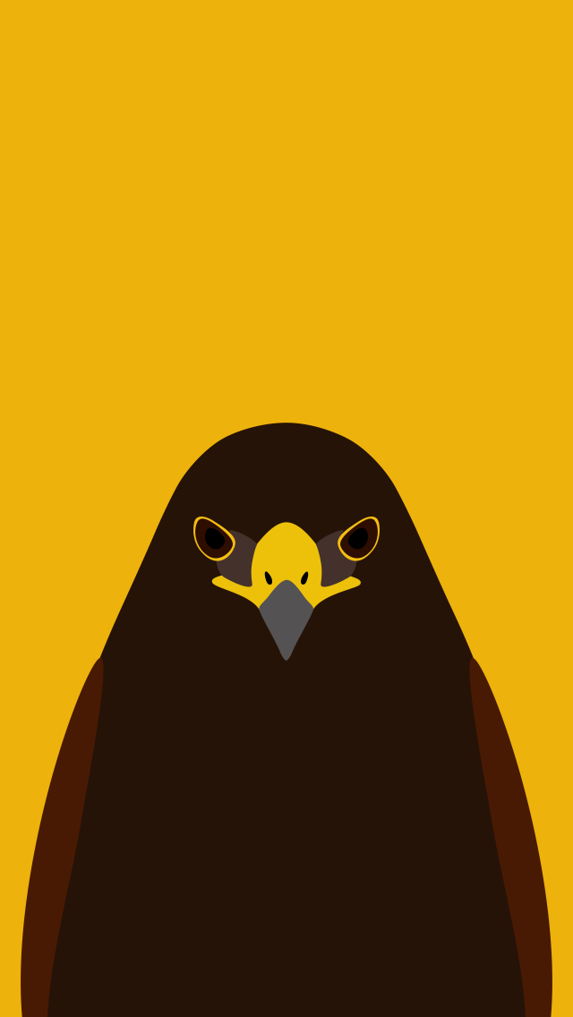 Harris's Hawk - bird wallpaper for iPhone by birnimal on DeviantArt Harris's Hawk - bird wallpaper for iPhone by birnimal on DeviantArt