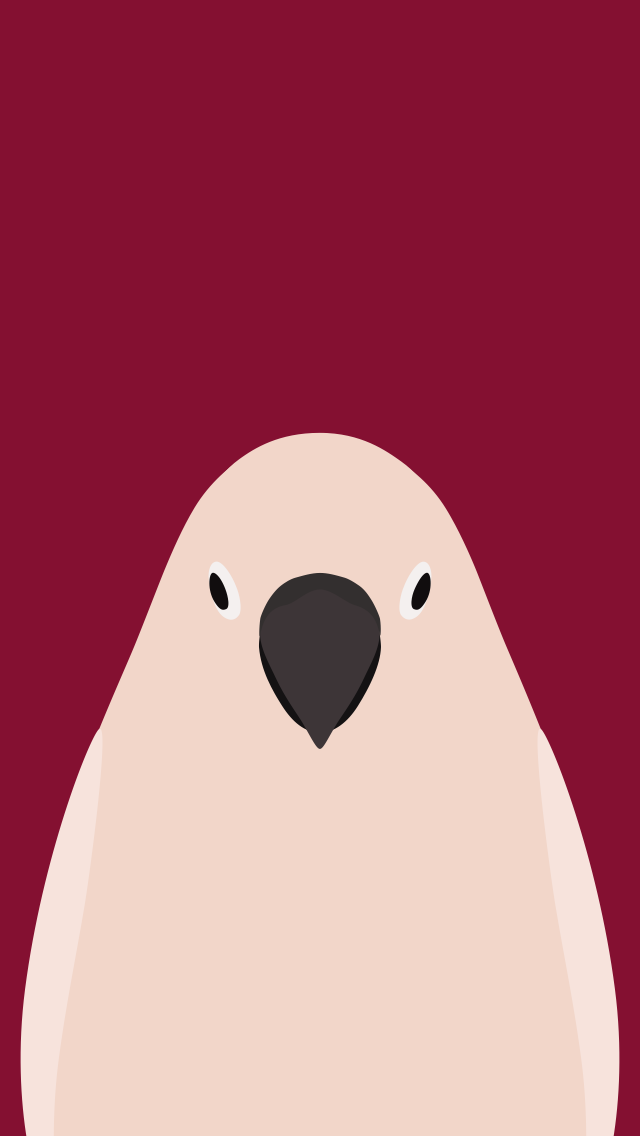 Salmon-crested Cockatoo - wallpaper for iPhone by birnimal