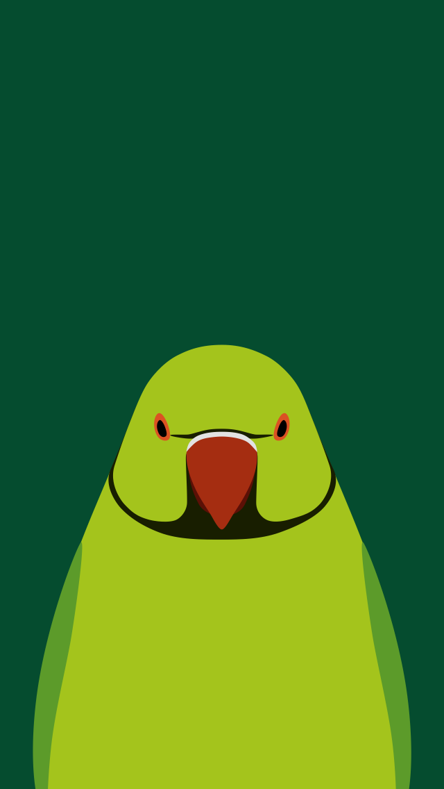 Rose-ringed Parakeet - bird wallpaper for iPhone by birnimal